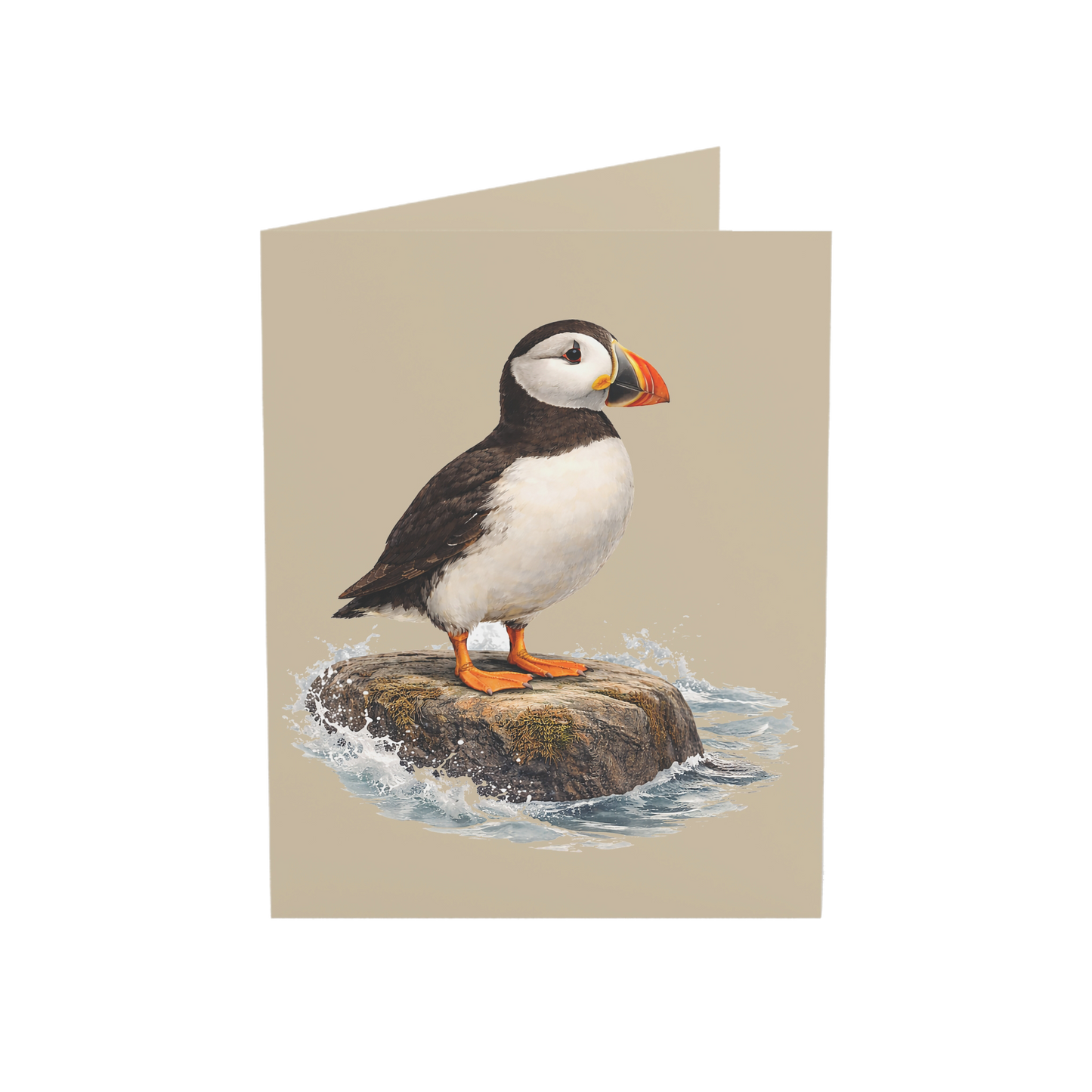 Coastal Puffin Greeting Cards, 10ct
